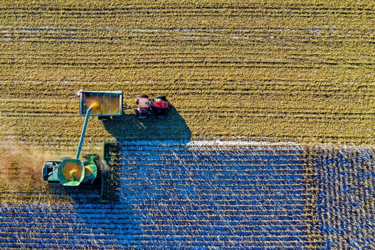 Panică inutilă. Fermierii ucraineni au crescut suprafaţa cultivată, în ciuda invaziei Rusiei