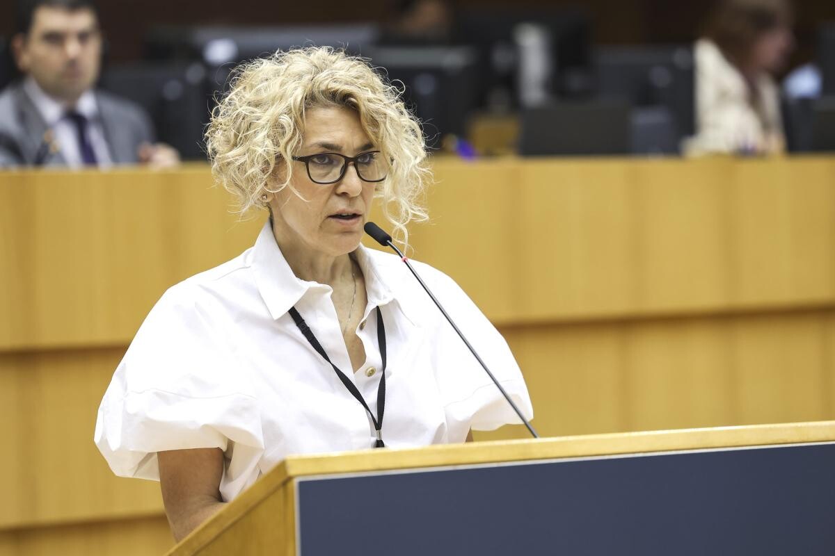 România, şansă să devină furnizor strategic de energie în UE. Carmen Avram, anunţ în plenul PE