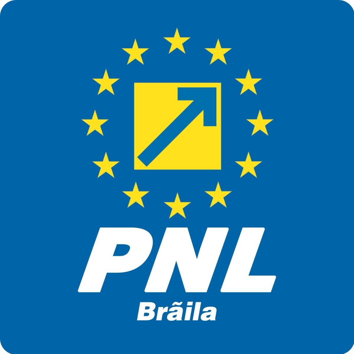 Lovitură pentru un primar, după ce a jignit o jurnalistă. PNL cere să-i fie retras sprijinul