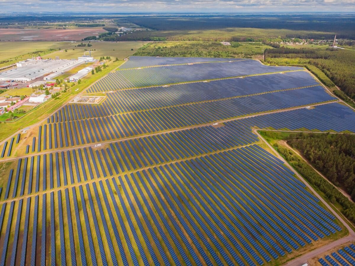 Experiment: Francezii vor să producă hrană și energie în acelaşi timp prin… agrivoltaice