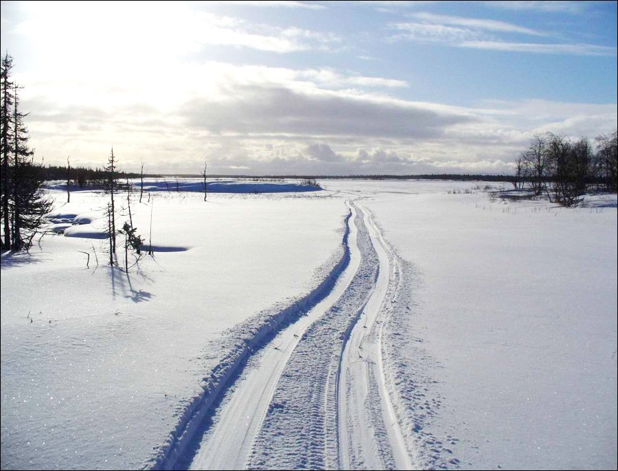 Accident aviatic. Un avion s-a prăbușit în nordul Rusiei/ Trimise la fața locului echipe cu snowmobile și un elicopter