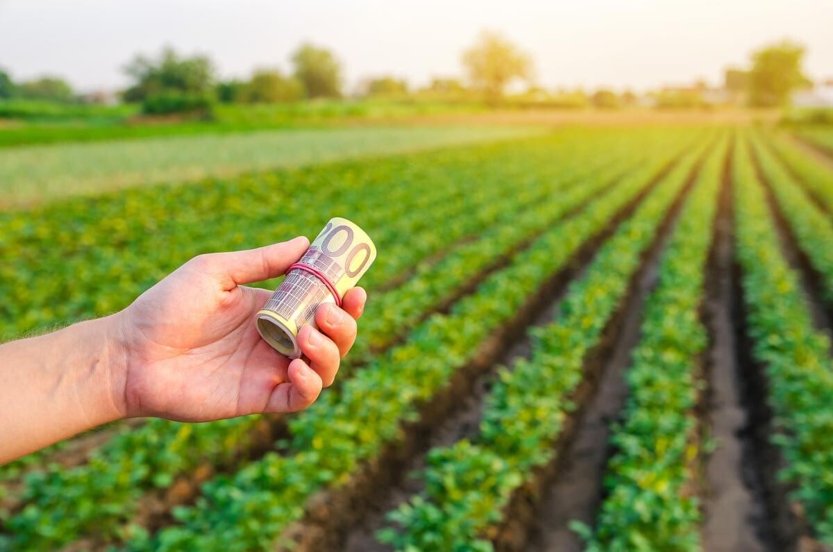 O palmă de pământ ar putea deveni proprietate de lux. Se scumpesc terenurile agricole