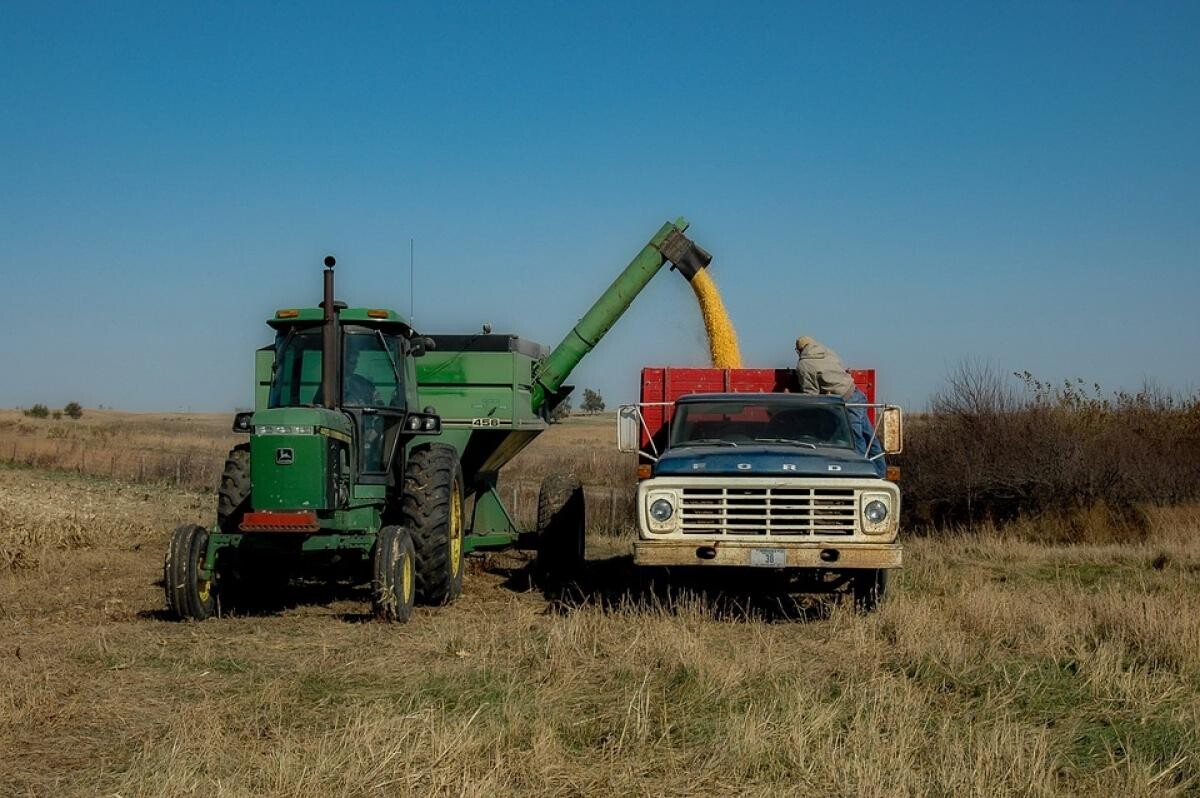 Scandalul cerealelor ucrainene. Adrian Negrescu: Ar trebui să interzicem și noi accesul. Vin și îngroapă tot ce înseamnă producători români