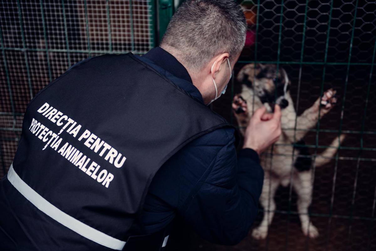 Proiecte USR pentru dotarea Poliţiei Animalelor şi sprijinirea poliţiştilor veterinari