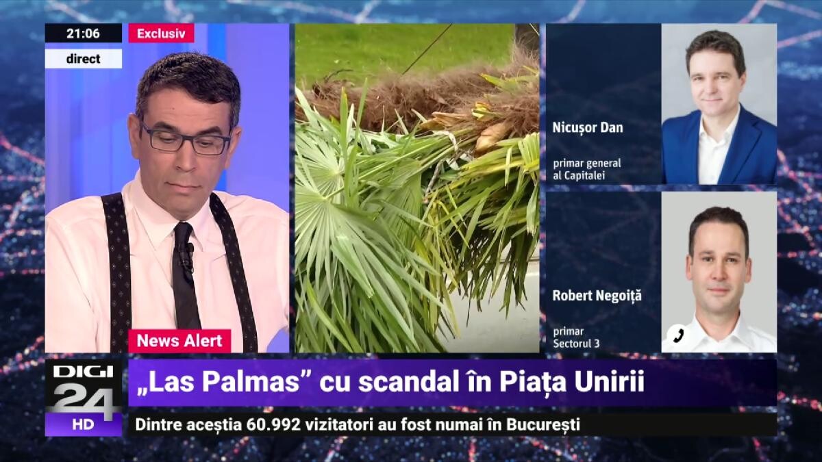 Scandalul palmierilor: Nicușor Dan vs. Robert Negoiță, replici în direct. Primarul general îl acuză pe primarul de sector că-l sfidează. ”Treziţi-vă, ieşiţi pe stradă”