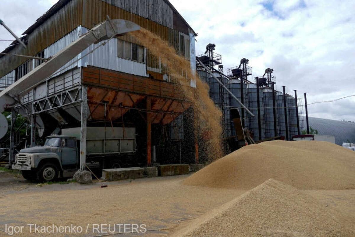 ”Cerealele din Ucraina, care tranzitează teritoriul României, nu se supun controalelor oficiale privind siguranța alimentelor”