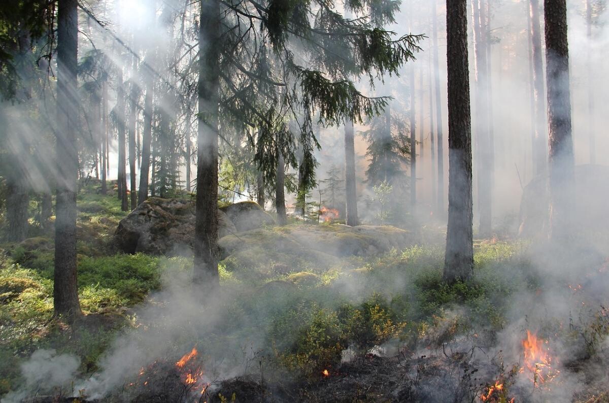 Ministrul kazah al situaţiilor de urgenţă, demis de Tokaev, după ce ar fi venit cu date eronate despre amploarea incendiilor de pădure