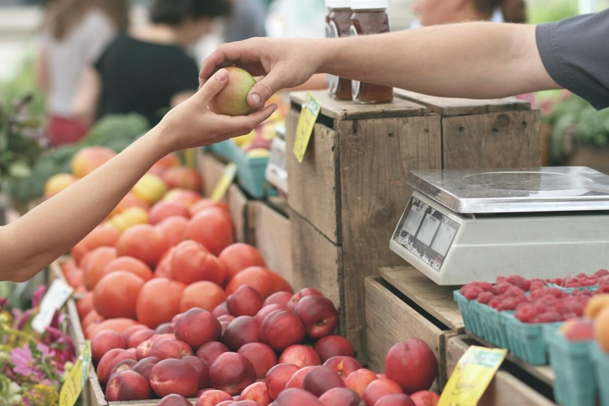 „Toţi pepenii sunt de Dăbuleni, toată brânza e de Sibiu, toate roşiile de la Matca, merele numai de Voineşti”. Nu scăderea TVA la produse de bază ar trebui să fie prioritatea: E escrocherie