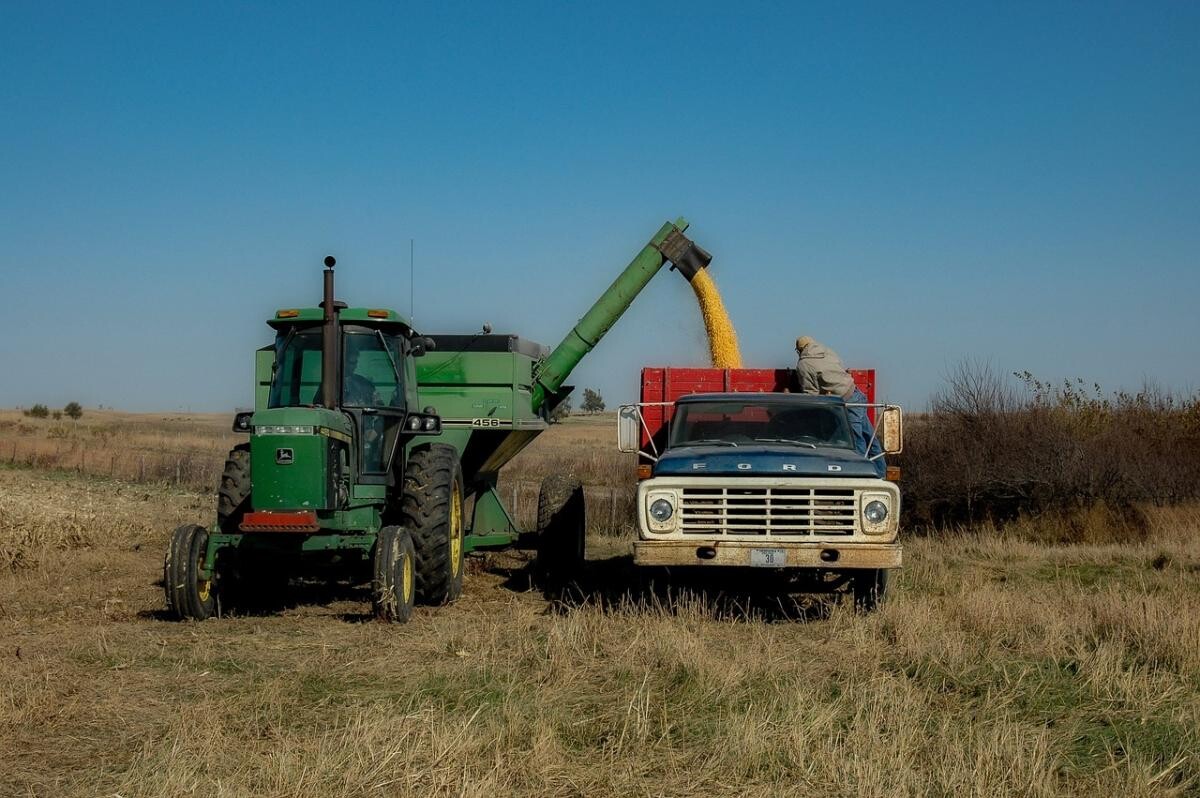 Ucraina vrea să transporte cerealele prin apele teritoriale ale României și Bulgariei. Rușii ar putea bombarda infrastructura portuară