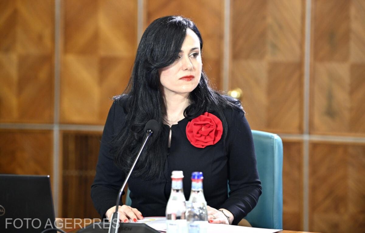 Șefii de la stat, remunerați și pentru posturile neocupate din subordine. Simona Oprescu, ministrul Muncii, lămuriri