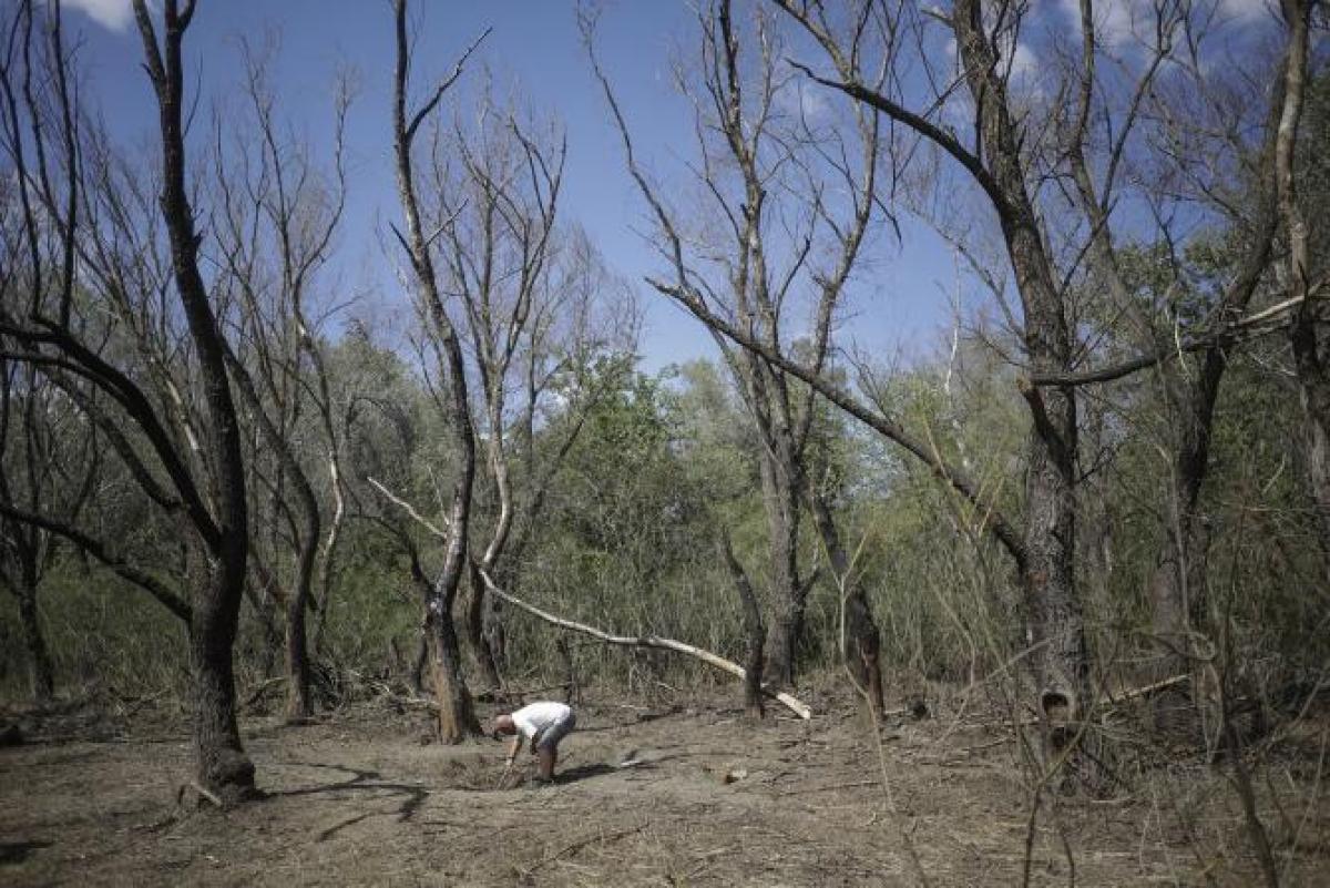 Dronele căzute în Tulcea. Surse MApN: Nu au explodat şi nu s-a detectat explozibil 